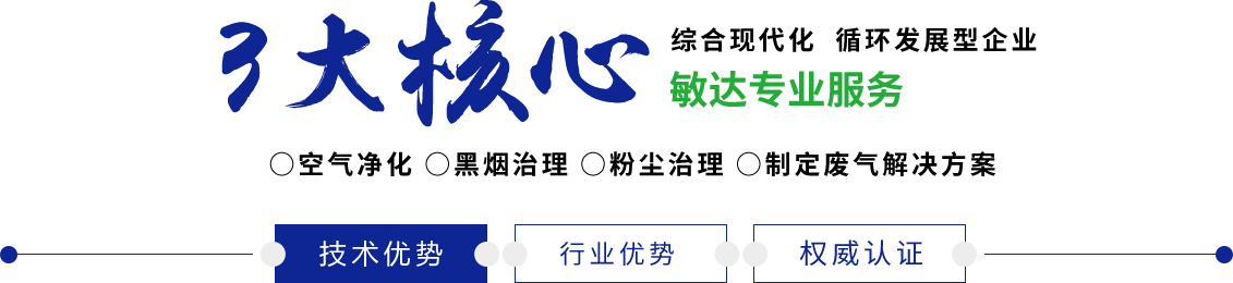 日本女人逼敏达环保科技（嘉兴）有限公司